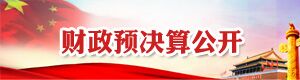 財政預決算公開